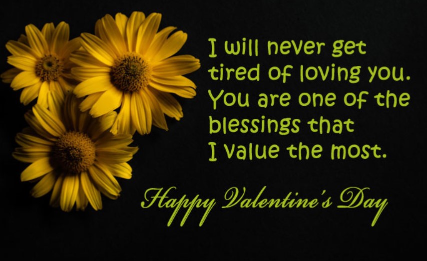 {2023} Happy Valentines Day Status Shayari – वैलेंटाइन डे स्टेटस शायरी 1